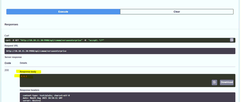 Versao da api enterprise.png