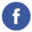 BCC Main Pagefacebook circle color.png