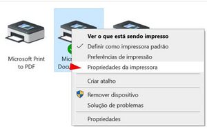 Porta Com ECF