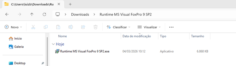 Arquivo:Executavel Runtime MS FoxPro9.png